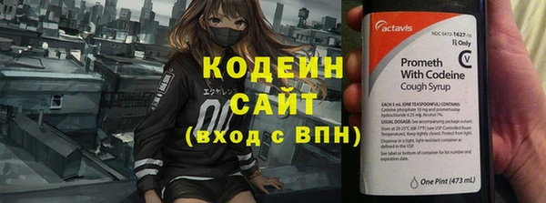 СК Алзамай